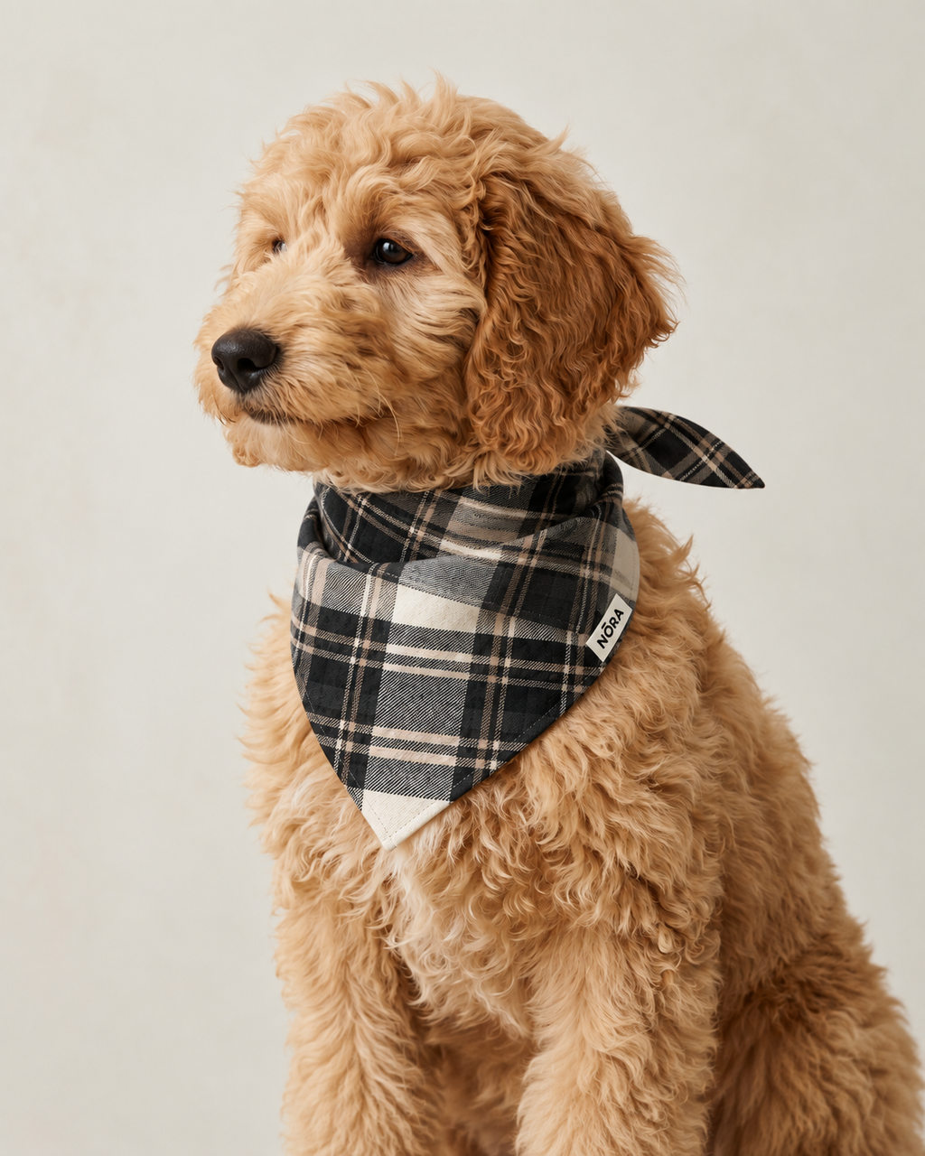 Dog wearing the NŌRA Bandit Plaid bandana in Black