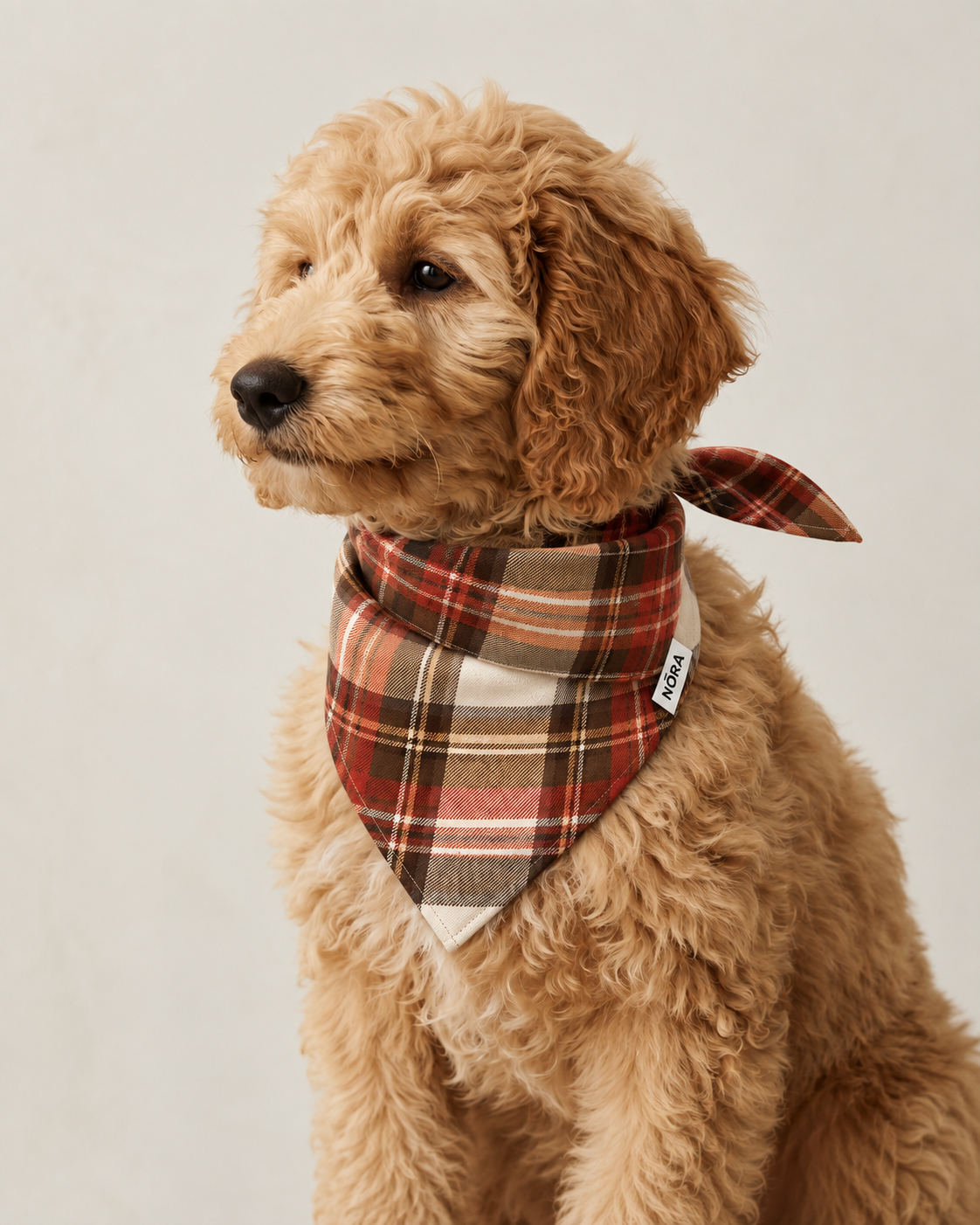 Dog wearing the NŌRA Bandit Plaid bandana in Brown and Red