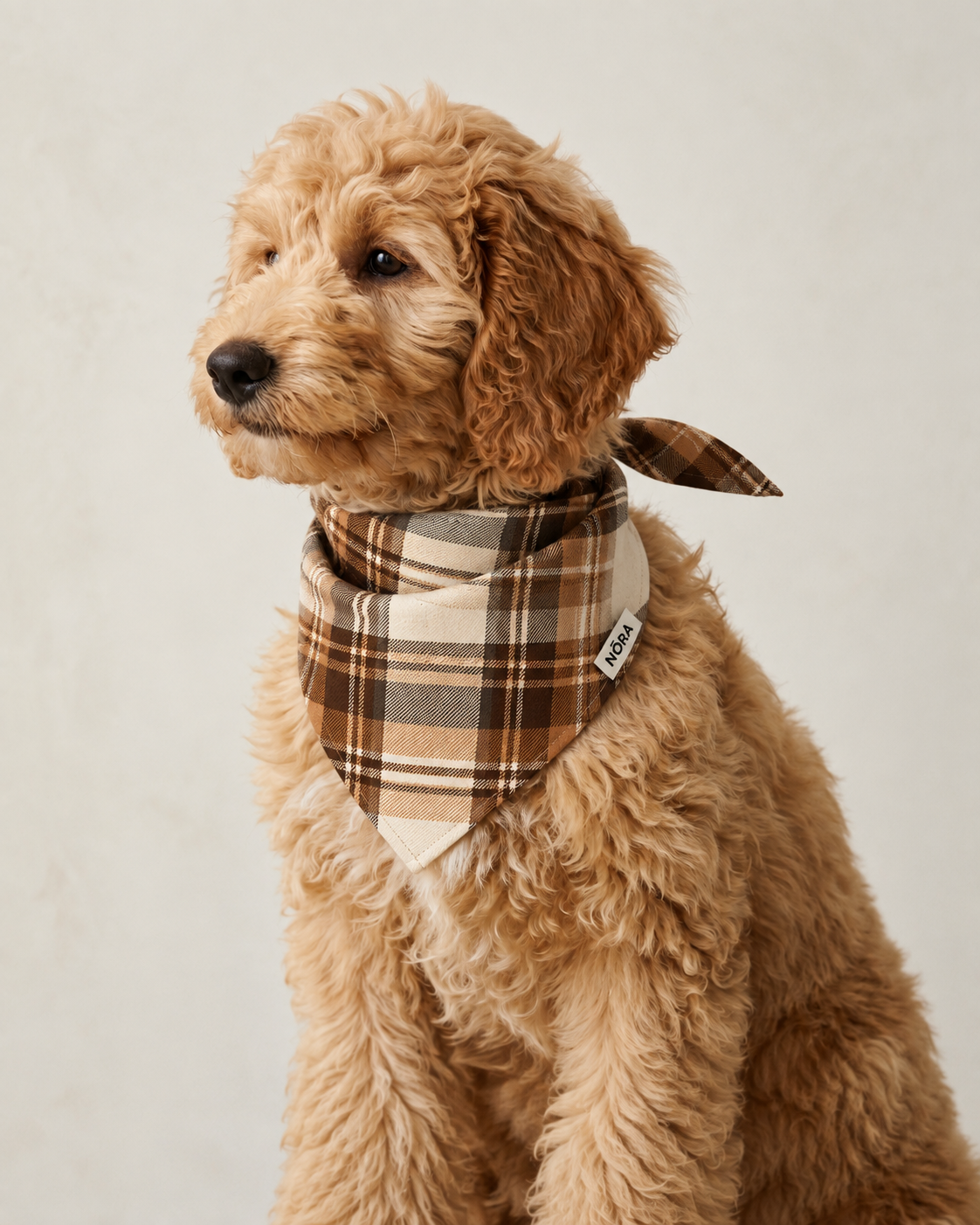 Dog wearing the NŌRA Bandit Plaid bandana in Caramel