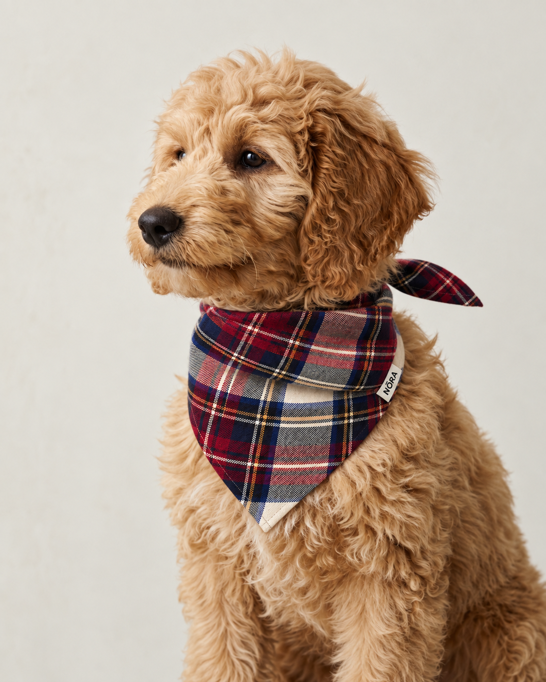 Dog wearing the NŌRA Bandit Plaid bandana in Classic Red