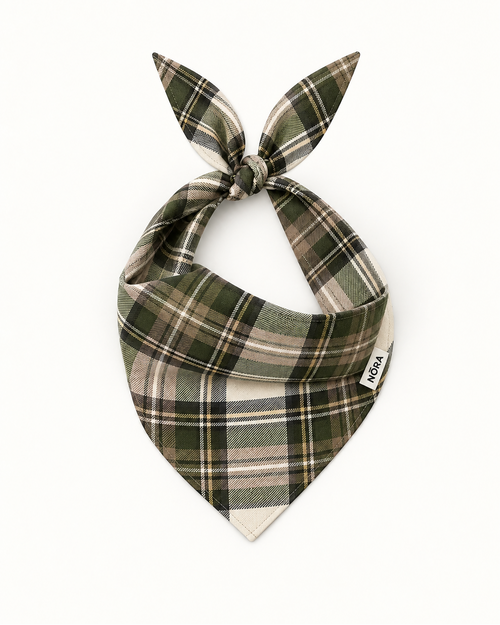 NŌRA Bandit Plaid dog bandana in Earth Green
