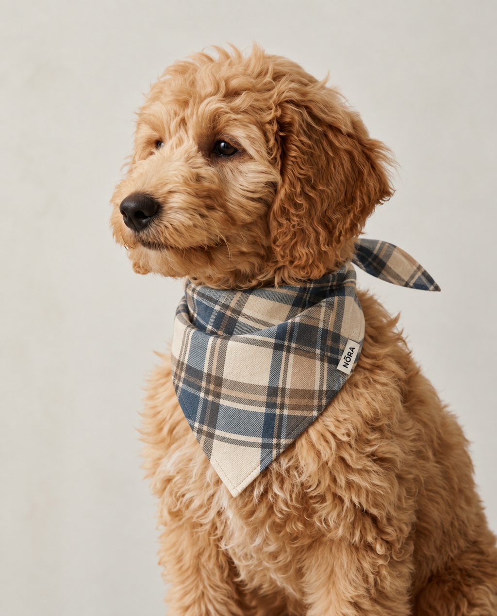 Dog wearing the NŌRA Bandit Plaid bandana in Light Blue