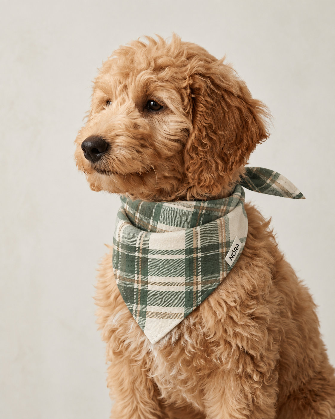 Dog wearing the NŌRA Bandit Plaid bandana in Light Green