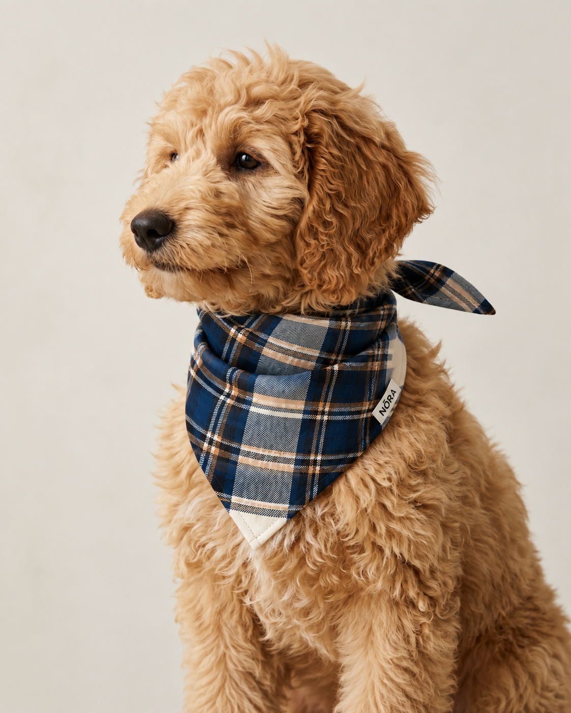 Dog wearing the NŌRA Bandit Plaid bandana in Navy