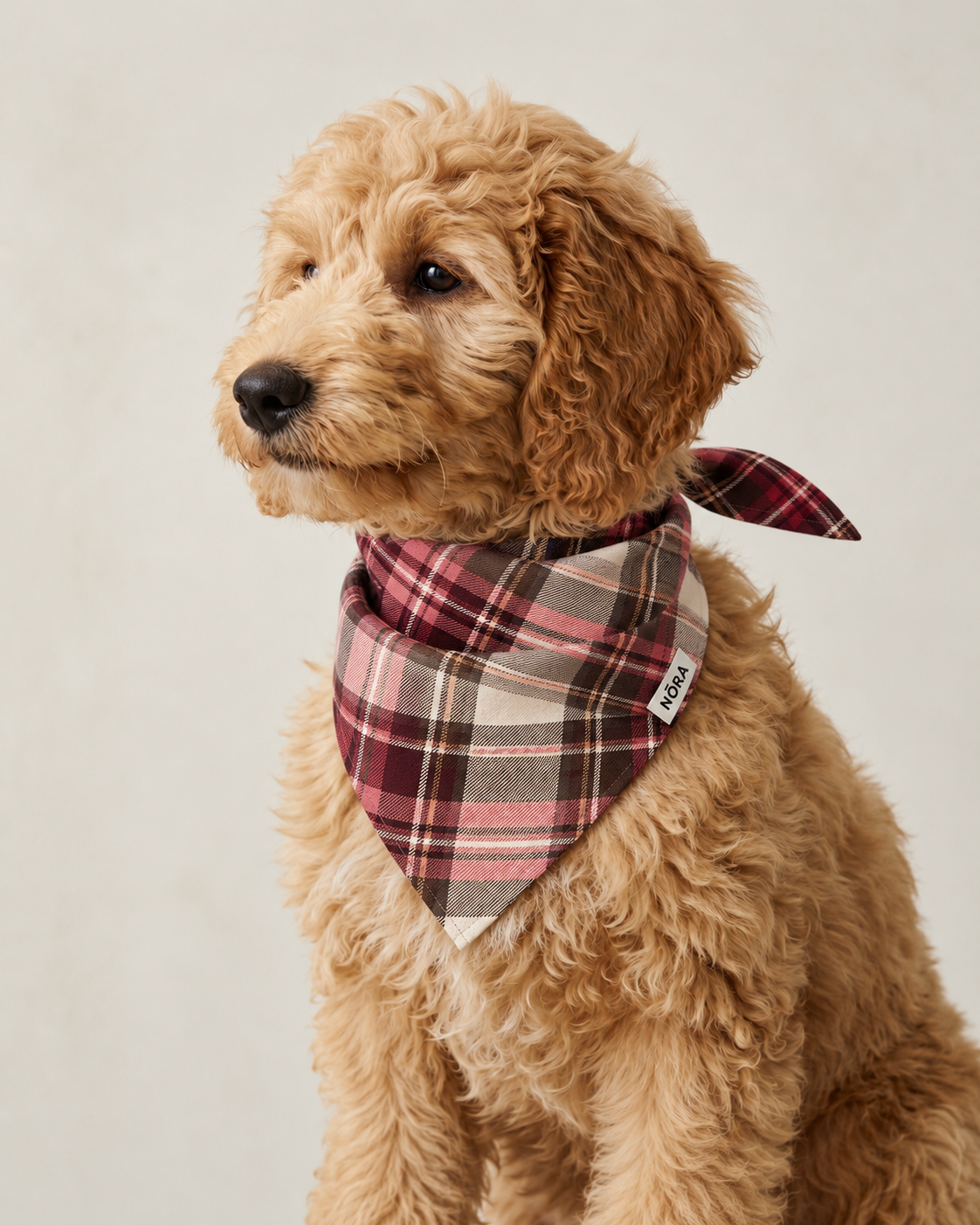 Dog wearing the NŌRA Bandit Plaid bandana in Pink
