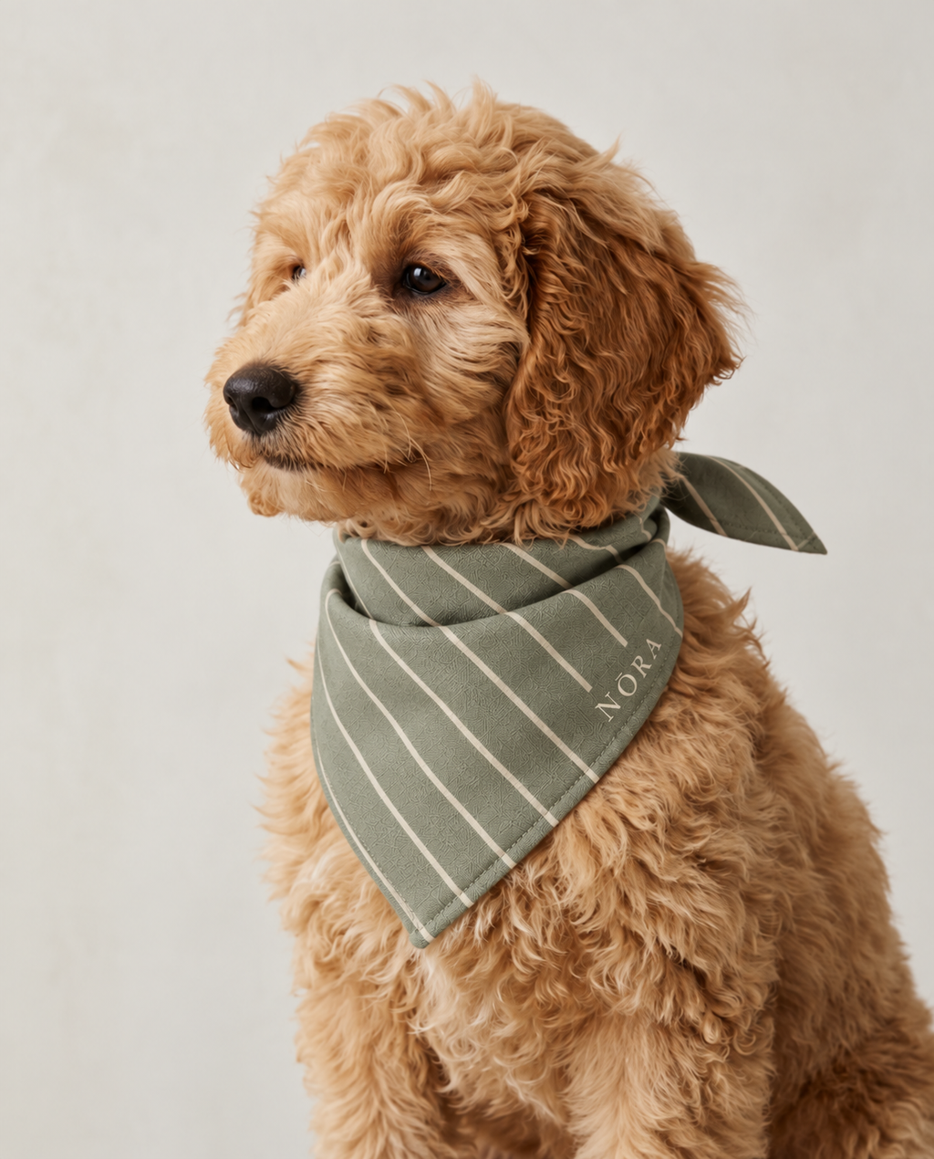 Dog wearing the NŌRA Bandit Stripe bandana in Moss
